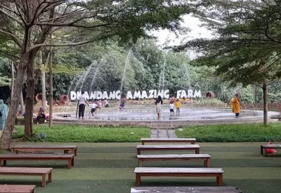 D'Kandang Amazing Farm: Penjelajahan Edukasi dan Rekreasi yang Menyenangkan