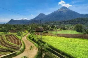 Gunung Trawas, Gunung Berapi Aktif yang Menakjubkan di Jawa Timur